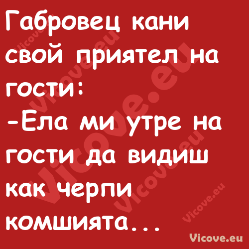 Габровец кани свой приятел на г...