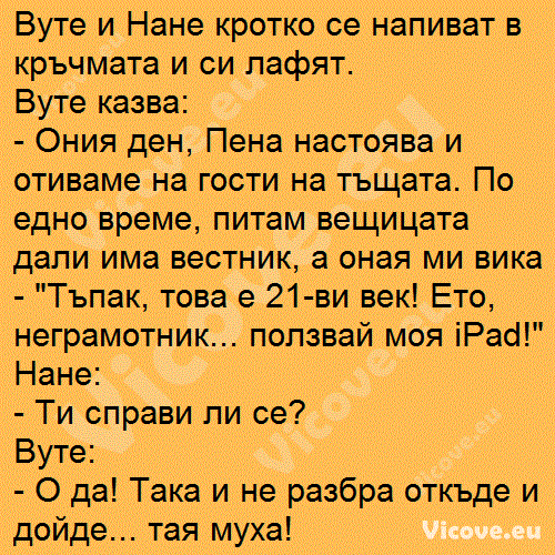 Вуте и Нане кротко се напиват в кръчмата и си лафят