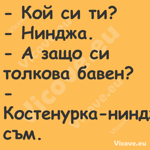  Кой си ти? Нинджа. ...