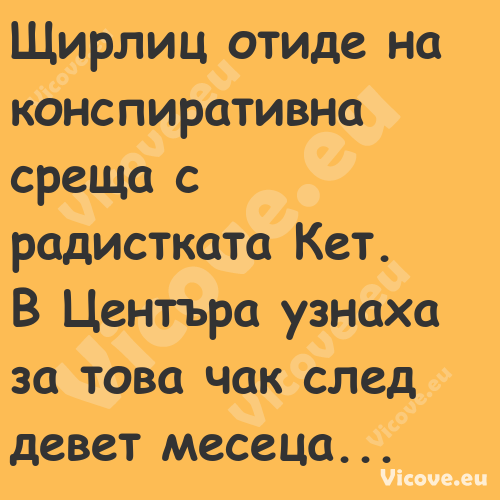 Щирлиц отиде на конспиративна с...