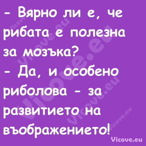  Вярно ли е, че рибата е полез...