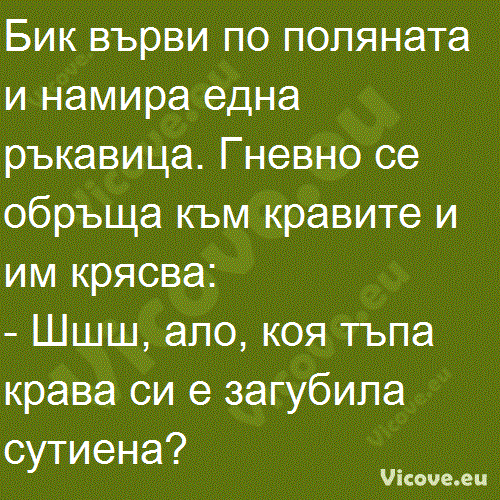 Бик върви по поляната и намира една ръкавица