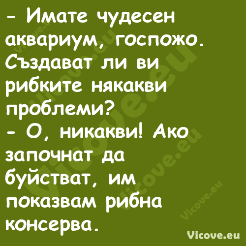  Имате чудесен аквариум, госпо...