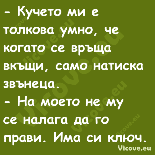  Кучето ми е толкова умно, че ...