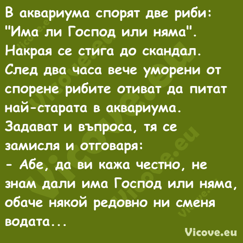 В аквариума спорят две риби: "И...