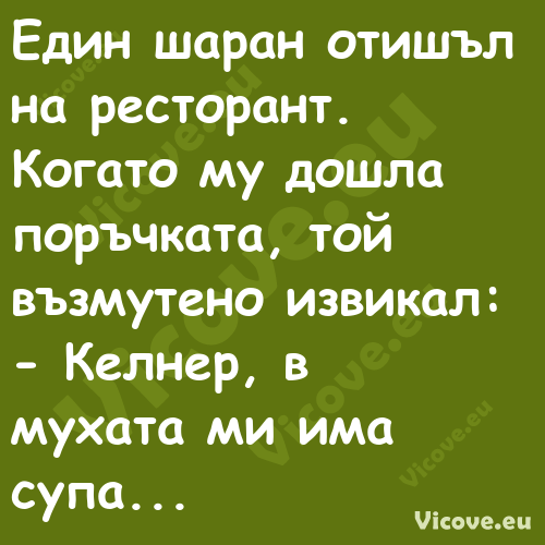 Един шаран отишъл на ресторант....