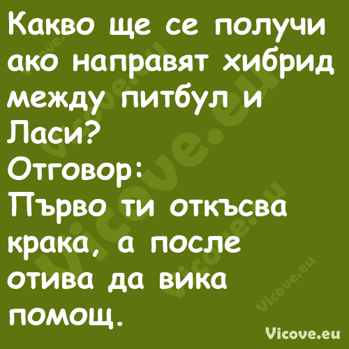 Какво ще се получи ако направят...