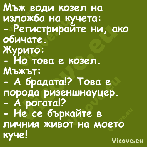 Мъж води козел на изложба на ку...