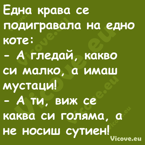 Една крава се подигравала на ед...