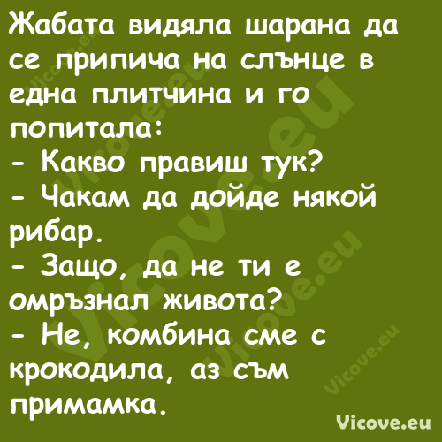 Жабата видяла шарана да се прип...