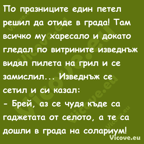 По празниците един петел решил ...