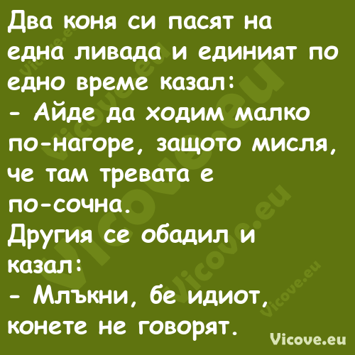 Два коня си пасят на една ливад...