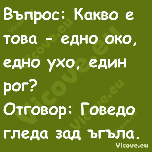 Въпрос: Какво е това едно око...