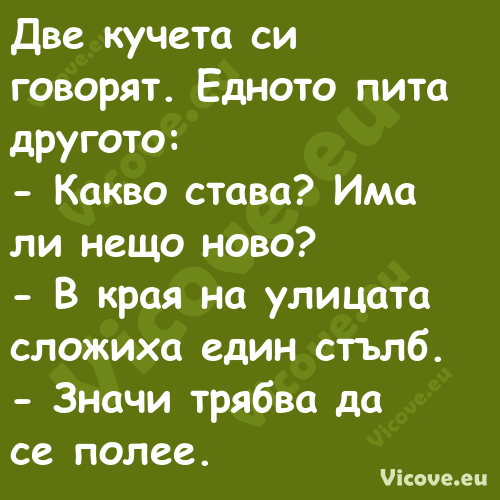 Две кучета си говорят. Едното п...