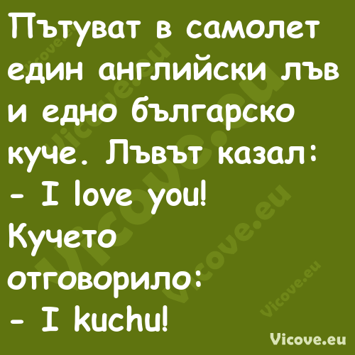 Пътуват в самолет един английск...