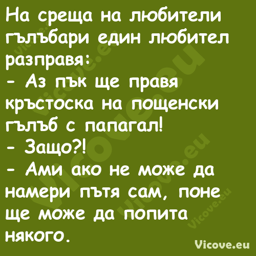 На среща на любители гълъбари е...