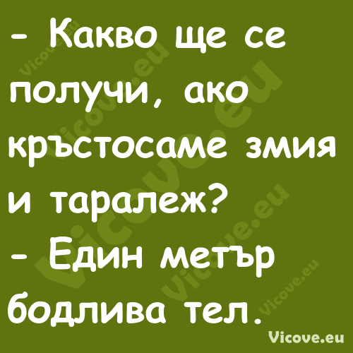  Какво ще се получи, ако кръст...