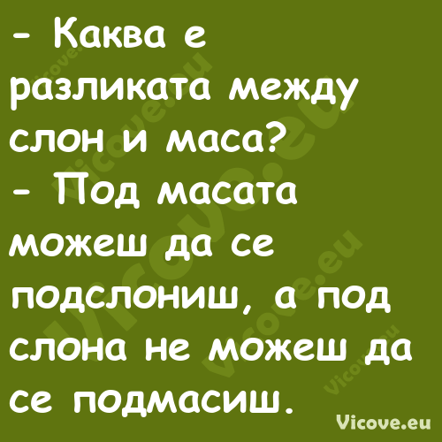  Каква е разликата между слон ...