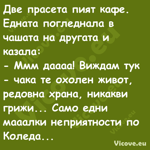 Две прасета пият кафе. Едната п...