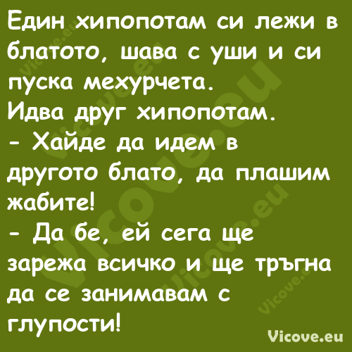 Един хипопотам си лежи в блатот...