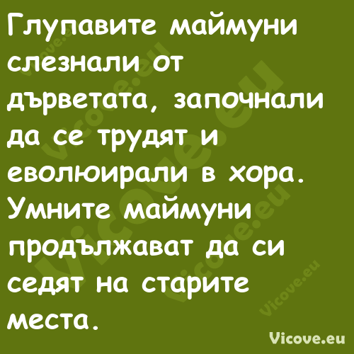 Глупавите маймуни слезнали от д...