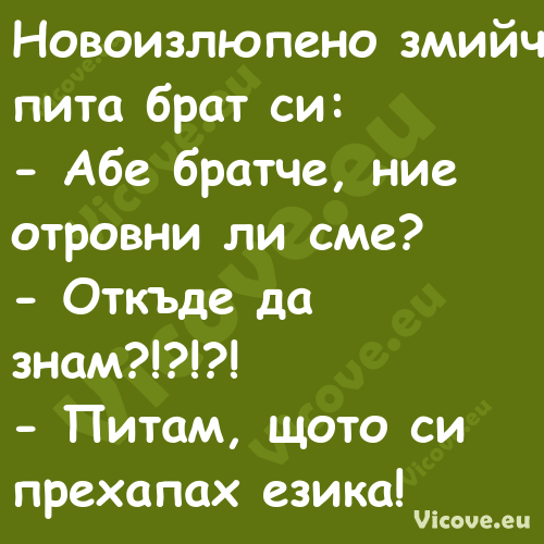 Новоизлюпено змийче пита брат с...