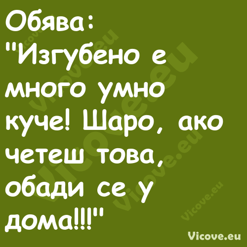 Обява: "Изгубено е много ум...