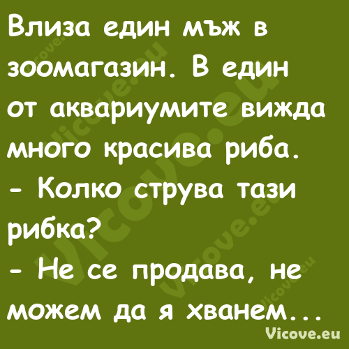 Влиза един мъж в зоомагазин. В ...