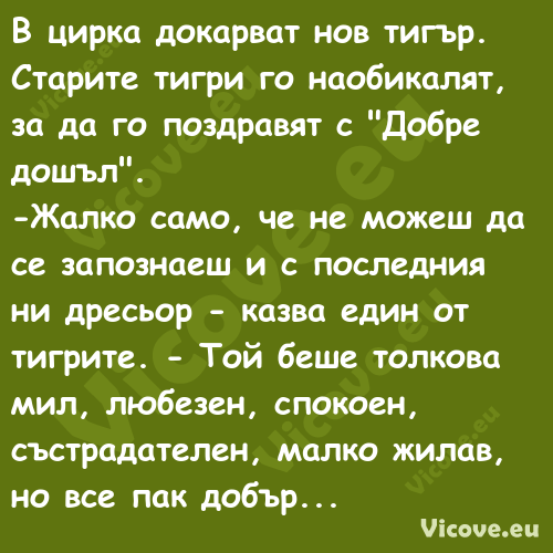 В цирка докарват нов тигър. Ста...