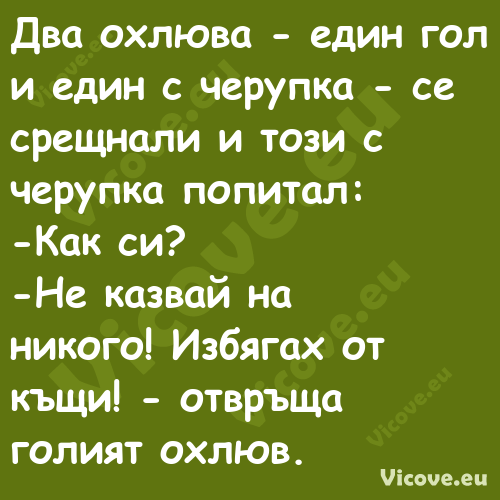 Два охлюва един гол и един с ...