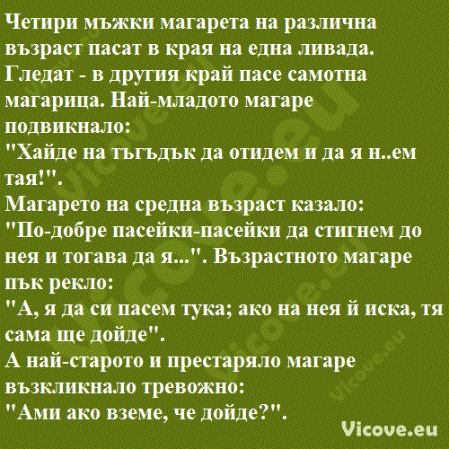 Четири мъжки магарета на различна възраст