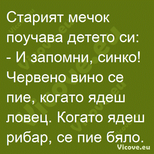 Старият мечок поучава детето си