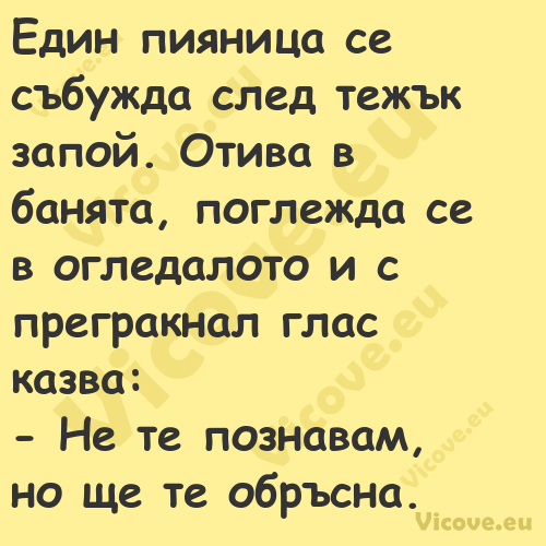 Един пияница се събужда след те...