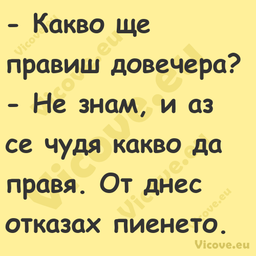  Какво ще правиш довечера?...