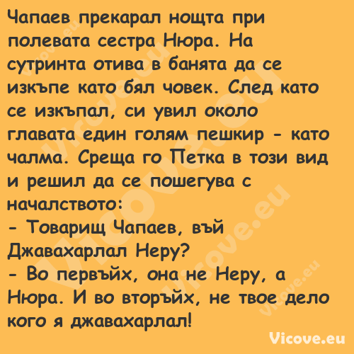 Чапаев прекарал нощта при полев...