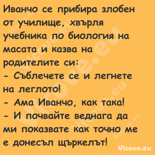 Иванчо се прибира злобен от учи...