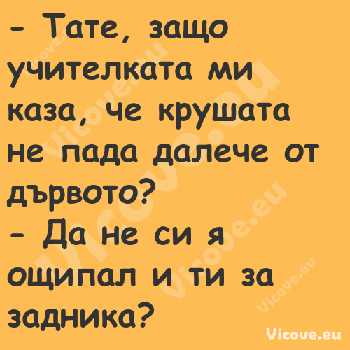  Тате, защо учителката ми каза...