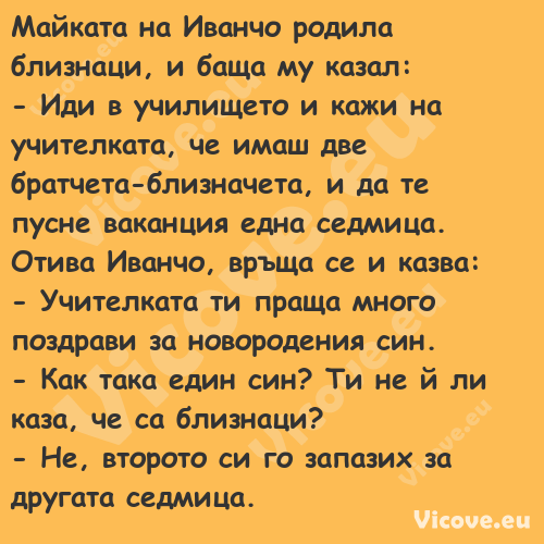 Майката на Иванчо родила близна...