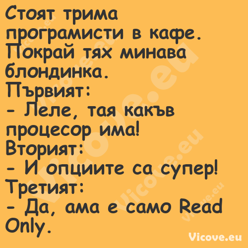 Стоят трима програмисти в кафе....