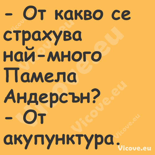  От какво се страхува най мног...