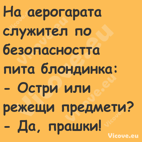 На аерогарата служител по безоп...