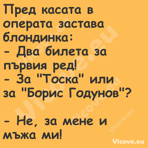 Пред касата в операта застава б...