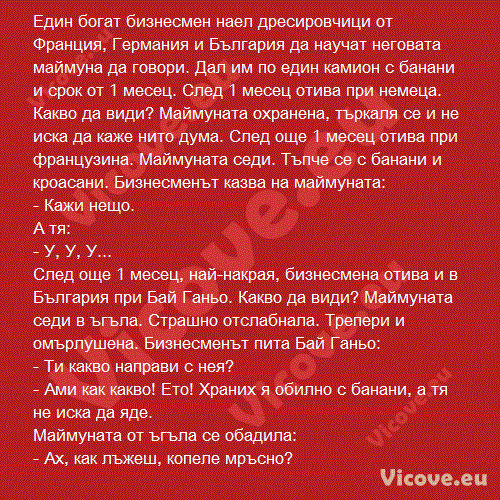 Един богат бизнесмен наел дресировчици