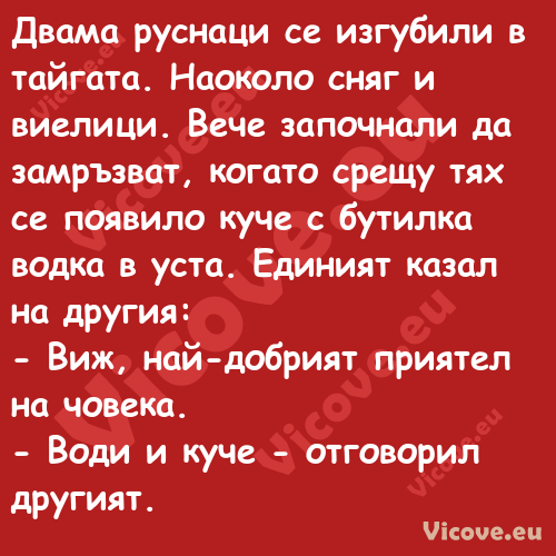 Двама руснаци се изгубили в тай...