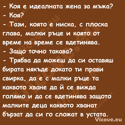  Коя е идеалната жена за мъжа?...