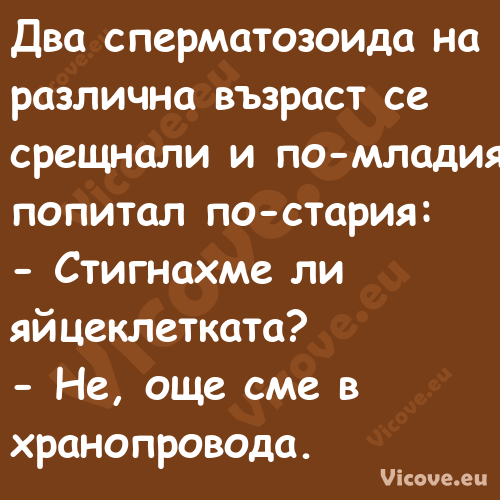 Два сперматозоида на различна в...