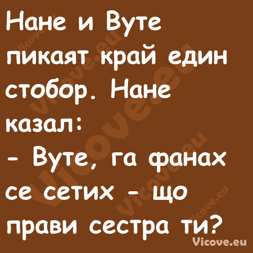 Нане и Вуте пикаят край един ст...