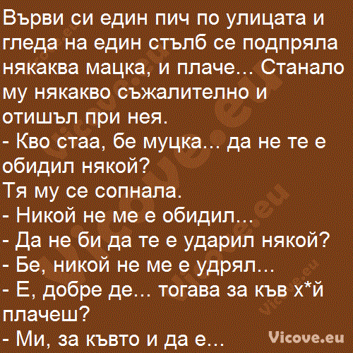 Върви си един пич по улицата и гледа