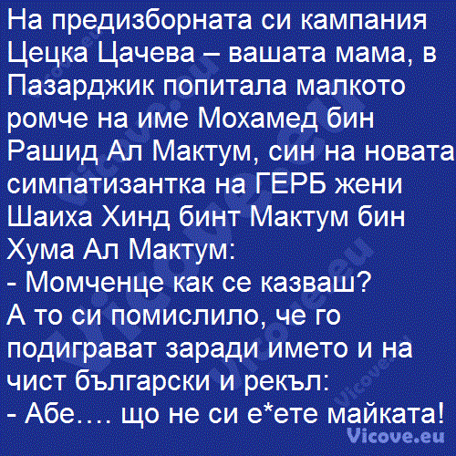 На предизборната си кампания Цецка Цачева – вашата мама