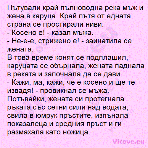 Пътували край пълноводна река мъж и жена в каруца